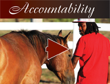 Accountability video link