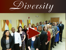 Diversity video link